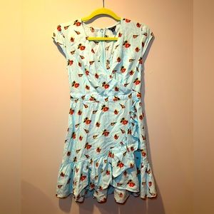 J. Crew Mercantile‎ Light Blue Red Rose Floral Faux Wrap Dress Ruffles 4P